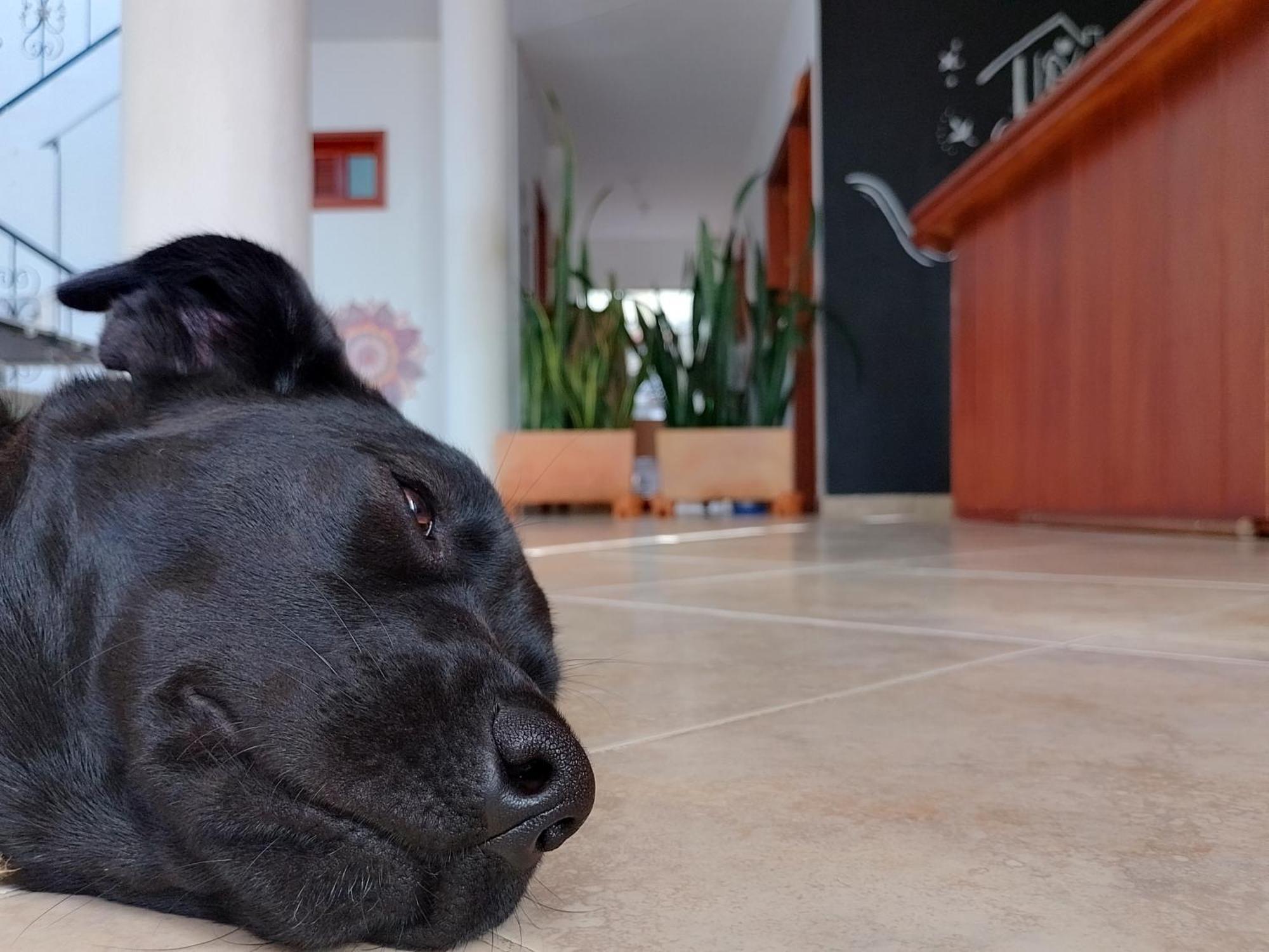 Family Host Hostel Villa de Leyva Εξωτερικό φωτογραφία